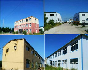 遼寧省阜新市彰武縣興工路八處房產和林產品產業園區內土地使用權 二次