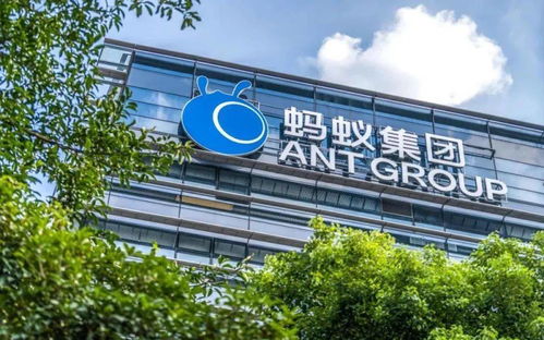 雙唄 糾偏,螞蟻回歸支付本源